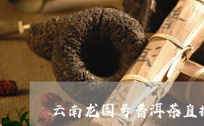 云南龙园号普洱茶直播/2023100687383