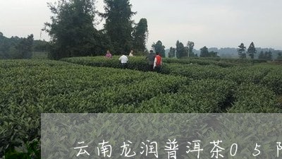 云南龙润普洱茶05陈香饼价格/2023053059473