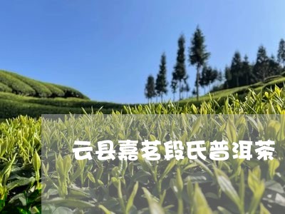 云县嘉茗段氏普洱茶/2023091574037