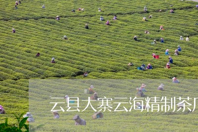 云县大寨云海精制茶厂/2023071653734