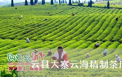 云县大寨云海精制茶厂价格/2023051113046