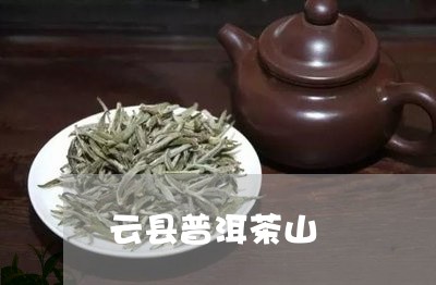 云县普洱茶山/2023090642525