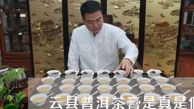 云县普洱茶膏是真是假/2023061692616