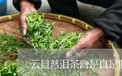 云县普洱茶膏是真是假/2023092752793