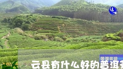 云县有什么好的普洱茶/2023062931815