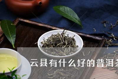 云县有什么好的普洱茶产地/2023082875259