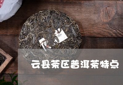 云县茶区普洱茶特点/2023091404949