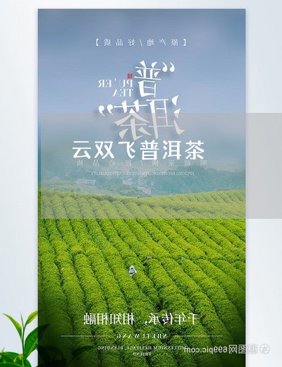 云双飞普洱茶/2023042827496