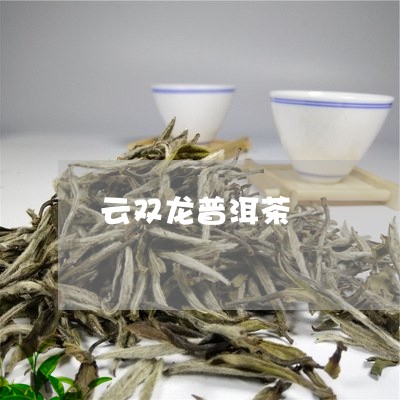 云双龙普洱茶/2023042549208