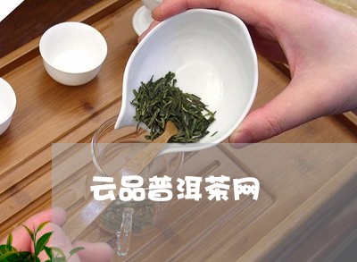 云品普洱茶网/2023042984100