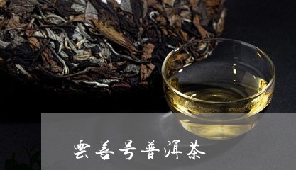 云善号普洱茶/2023081570718