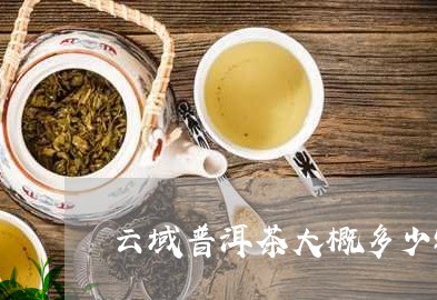 云域普洱茶大概多少钱/2023092860695