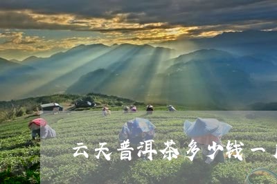 云天普洱茶多少钱一斤/2023061529793