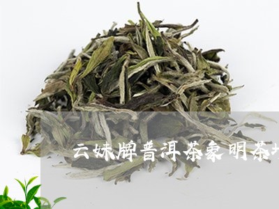 云妹牌普洱茶象明茶场/2023092852705