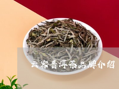 云客普洱茶品牌介绍/2023082878158