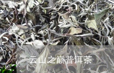 云山之巅普洱茶/2023120331494