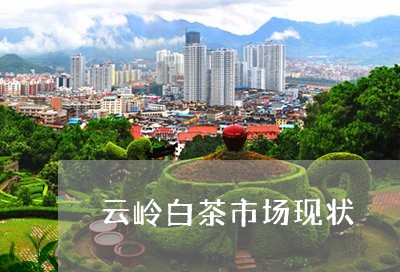 云岭白茶市场现状/2023061485137