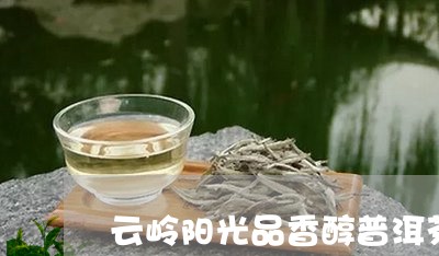 云岭阳光品香醇普洱茶/2023100541915