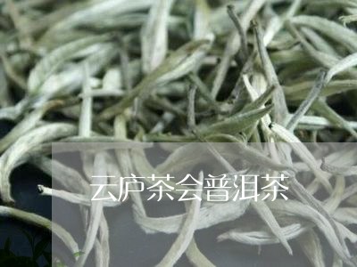 云庐茶会普洱茶/2023112617060