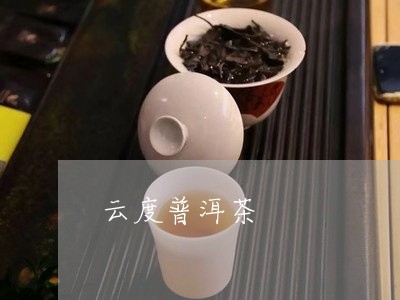 云度普洱茶/2023102532041