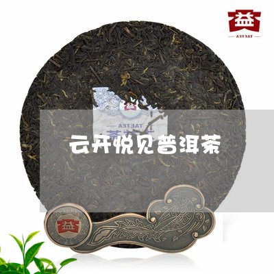 云开悦见普洱茶/2023112650404