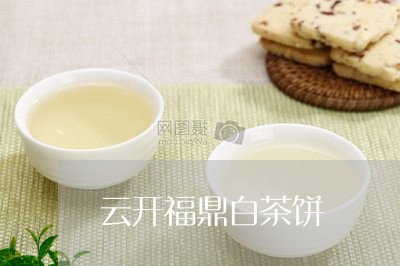 云开福鼎白茶饼/2023112527040