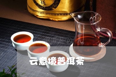 云意境普洱茶/2023101695737