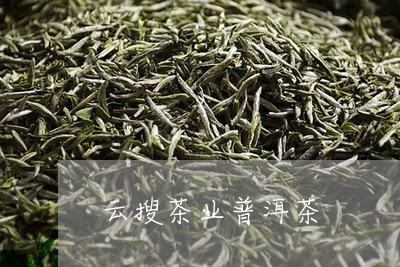 云搜茶业普洱茶/2023110394938