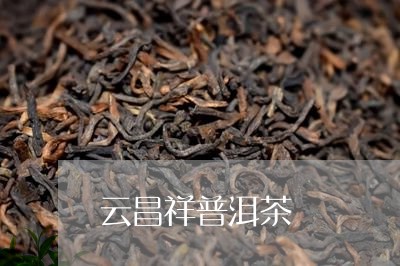 云昌祥普洱茶/2023042957963