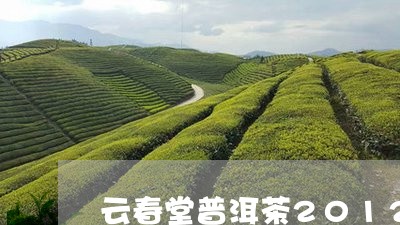 云春堂普洱茶2012/2023080298270