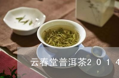 云春堂普洱茶2014/2023100691471