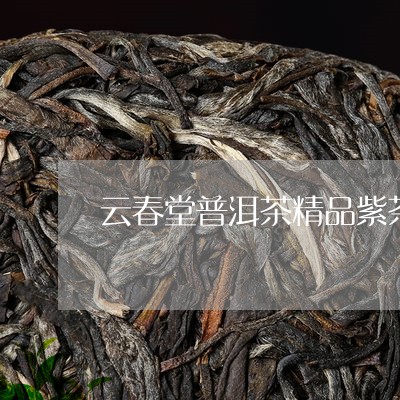 云春堂普洱茶精品紫茶/2023092715259