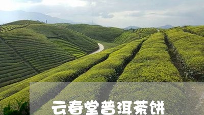 云春堂普洱茶饼/2023112621504