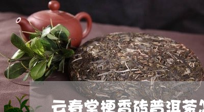 云春堂梗香砖普洱茶怎么样/2023051108491