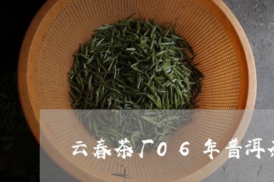 云春茶厂06年普洱茶/2023062240684