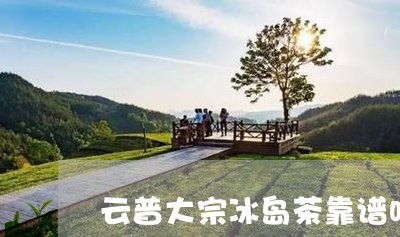 云普大宗冰岛茶靠谱吗/2023092303049