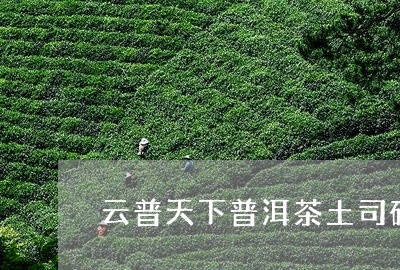 云普天下普洱茶土司砖/2023092746946