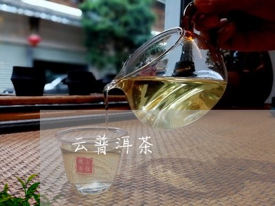 云普洱茶/2023121878351