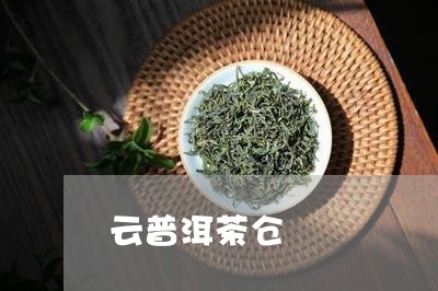 云普洱茶仓/2023112652634