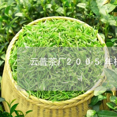 云普茶厂2005年树茶价格/2023052632805