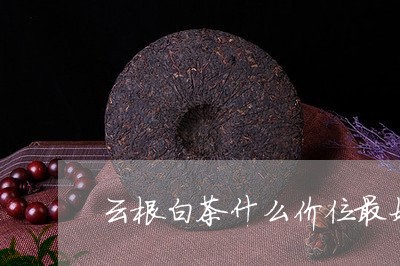 云根白茶什么价位最好/2023092638250