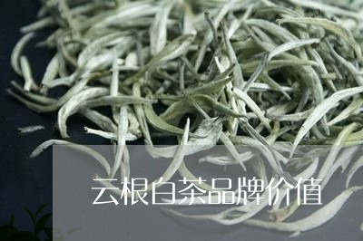 云根白茶品牌价值/2023061440927