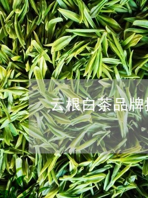 云根白茶品牌排行/2023061431714