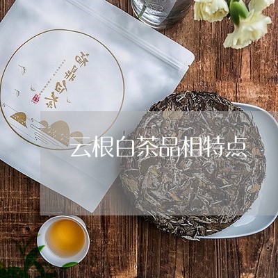 云根白茶品相特点/2023061416262