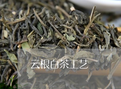 云根白茶工艺/2023051205240