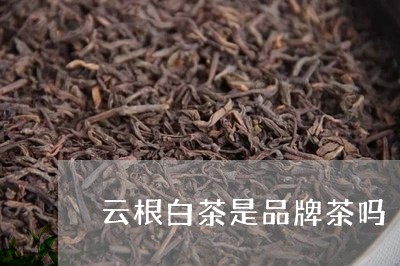 云根白茶是品牌茶吗/2023071564040