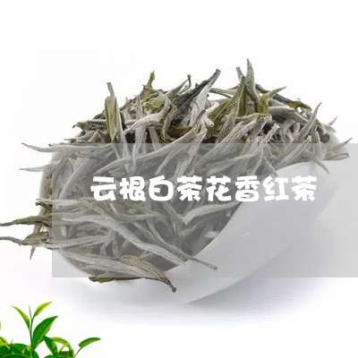 云根白茶花香红茶/2023061445946