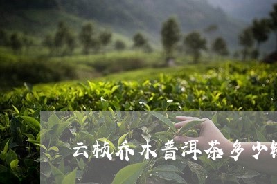 云桢乔木普洱茶多少钱/2023061632694