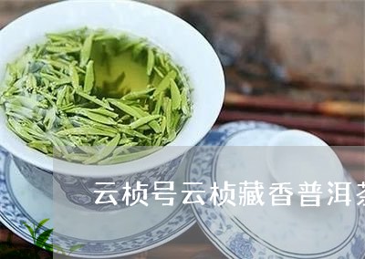 云桢号云桢藏香普洱茶/2023061669704