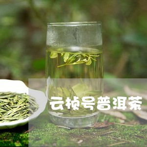 云桢号普洱茶180克/2023062331616